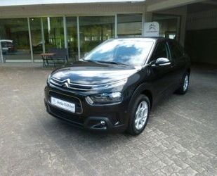 Citroen Citroën C4 Cactus PureTech 110 S&S Shine Gebrauchtwagen