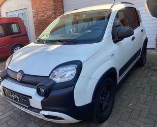 Fiat Fiat Panda Waze-City-Cross-1.2. Start-Stop-Klima-P Gebrauchtwagen