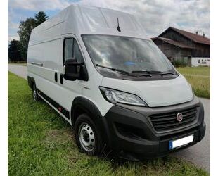 Fiat Fiat Ducato Maxi 35 L5H3 2.3 177PS Kasten AHK u.v. Gebrauchtwagen