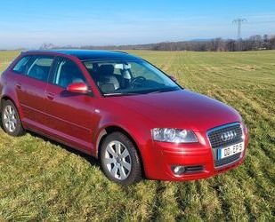 Audi Audi A3 2.0 TFSI Sportback Leder/Alcant., Xenon, P Gebrauchtwagen