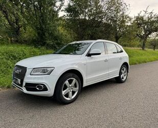 Audi Audi Q5 2.0 TDI quattro S- Line Distronic ACC NAV Gebrauchtwagen