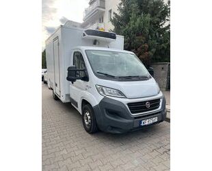 Fiat Fiat Ducato 2.3D Kühler (NETO) Gebrauchtwagen