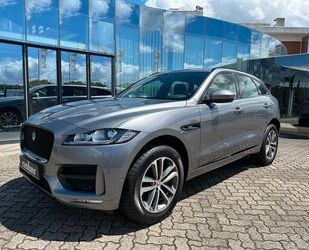 Jaguar Jaguar F-Pace 20d R-Sport AWD|Meridian|Black Pack Gebrauchtwagen