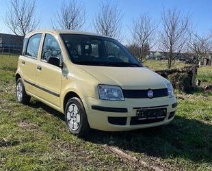 Fiat Fiat Panda 1.1 8V Active*HU/Neu* Gebrauchtwagen