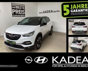 Opel Opel Grandland 1.2 360°Kamera,LED,PDC,AGR,el.Heckk Gebrauchtwagen