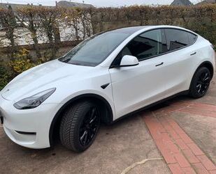 Tesla Tesla Model Y Long Range AWD/8-fach bereift/AHK Gebrauchtwagen