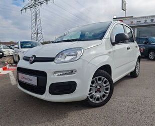 Fiat Fiat Panda Easy Klima 1Hand Gebrauchtwagen