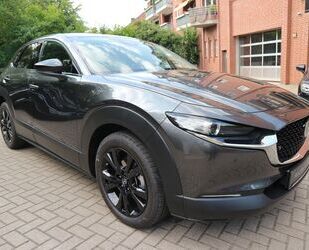 Mazda Mazda CX-30 2.0 e-SKYACTIV-G 122 M-Hybrid Homura Gebrauchtwagen