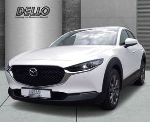 Mazda Mazda CX-30 Edition 100 M Hybrid Navi Leder Memory Gebrauchtwagen