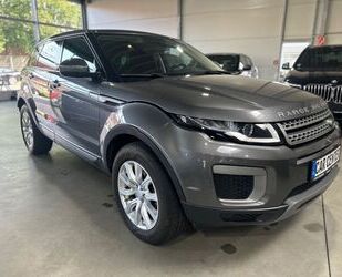 Land Rover Land Rover Range Rover Evoque Pure Navi|SHZ|AHK|Te Gebrauchtwagen