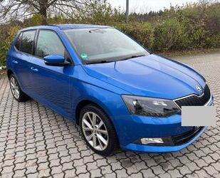 Skoda Skoda Fabia 1.2l TSI 66kW Joy *Apple CarPlay* Gebrauchtwagen