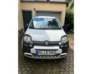 Fiat Fiat New Panda 1.2 8V CITY CROSS CITY CROSS Gebrauchtwagen