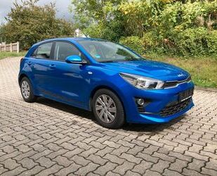 Kia Kia Rio Edition 7 - Sitzheizung, Parkpilot Gebrauchtwagen