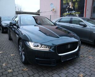 Jaguar Jaguar XE Portfolio Leder Pano Bi-Xenon 4xSitzheiz Gebrauchtwagen