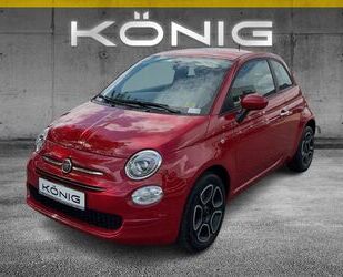 Fiat Fiat 500 1.0 CLUB Klima*GRA *EFH*LR*el.ASP Gebrauchtwagen