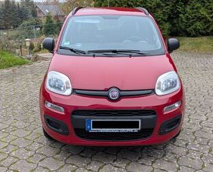 Fiat Fiat New Panda 1.2 8V Classic Gebrauchtwagen