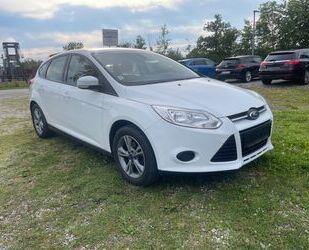 Ford Ford Focus Lim. Champions Edition 1.6L 96200km Gebrauchtwagen