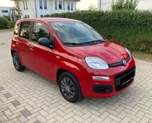 Fiat Fiat Panda 1.2 8V Klima 36.000km neuwertig Gebrauchtwagen