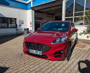 Ford Ford Kuga ST-Line X , Navi, Kamera V+H, Gebrauchtwagen