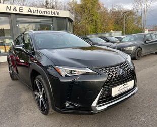 Lexus Lexus UX 250 h Hybrid Gebrauchtwagen