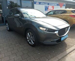 Mazda Mazda CX-30 Selection 2WD /NAVI/KAMERA/SHZ/HUD/ALL Gebrauchtwagen