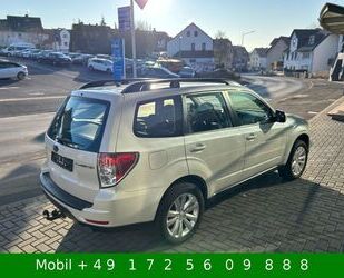 Subaru Subaru Forester Comfort Autom 4x4 AHK Xenon Kamera Gebrauchtwagen