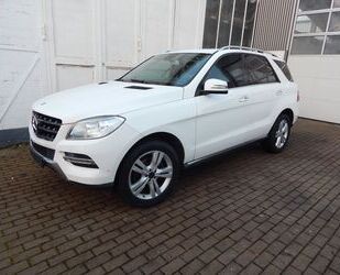 Mercedes-Benz Mercedes-Benz ML 250 BlueTEC 4MATIC Head-Up Displa Gebrauchtwagen