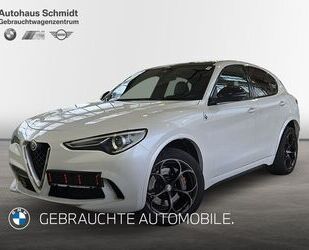 Alfa Romeo Alfa Romeo Stelvio Quadrifoglio Q4 DAB RFK Tempoma Gebrauchtwagen