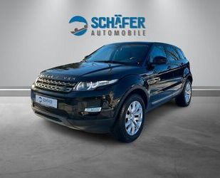 Land Rover Land Rover Range Rover Evoque TD4 Pure Technik #AU Gebrauchtwagen