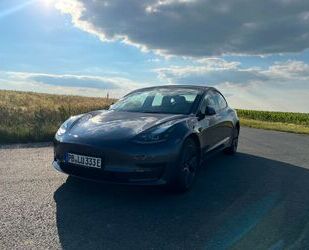 Tesla Tesla Model 3 Standard-Reichweite Plus - Hinterrad Gebrauchtwagen