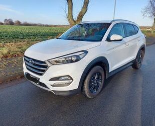 Hyundai Hyundai Tucson 1.6 T-GDI Intro Edition 2WD Navi SH Gebrauchtwagen