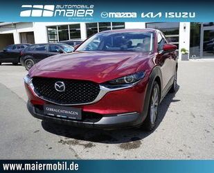 Mazda Mazda CX-30 1.8 SKYACTIV-D Selection *LED* KAMERA* Gebrauchtwagen