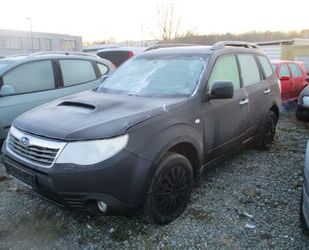 Subaru Subaru Forester Comfort Gebrauchtwagen