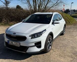 Kia Kia XCeed 1.4 T Vision | Scheckh. Garantie 8 Reife Gebrauchtwagen