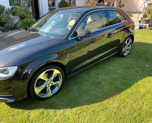 Audi Audi A3 2.0 TDI Ambition *HU + ZAHNRIEMEN NEU* Gebrauchtwagen