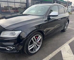 Audi Audi SQ5 3.0 TDI tiptronic quattro - Gebrauchtwagen