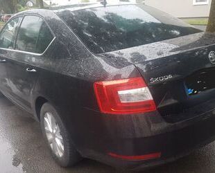 Skoda Skoda Octavia 1.6 TDI ,Automatic-DSG Ambition Gebrauchtwagen