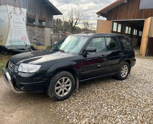 Subaru Subaru Forester 2.0 X Celebration Gebrauchtwagen