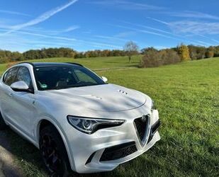 Alfa Romeo Alfa Romeo Stelvio 2.9 Bi-T. V6 375kW Quadrifoglio Gebrauchtwagen