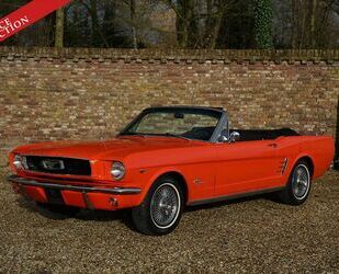 Ford Ford Mustang Convertible 289 V8 Manual PRICE REDUC Gebrauchtwagen
