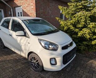 Kia Kia Picanto 1.0 Morning Gebrauchtwagen