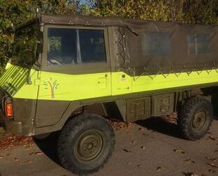  andere Andere Pinzgauer 710 M Gebrauchtwagen