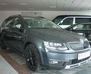 Skoda Skoda Octavia Combi Scout 4x4 BI Xenon Navi DAB AC Gebrauchtwagen