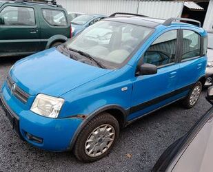 Fiat Fiat Panda 1.2 8V Climbing 4X4 Kein Tüv! Gebrauchtwagen