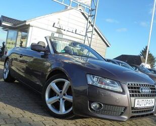 Audi Audi A5 Cabriolet*LEDER*BI-XENON*S-LINE Gebrauchtwagen