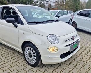 Fiat Fiat 500 Cult - Mild Hybrid / Klima / Alufelgen 15 Gebrauchtwagen