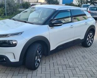 Citroen Citroën C4 Cactus PureTech 110 S&S Shine EAT6 Shin Gebrauchtwagen