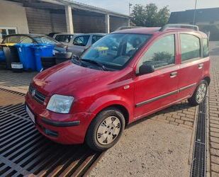 Fiat Fiat New Panda 1.2 Servo 1.Hand Zv. El.Fh Scheckhe Gebrauchtwagen