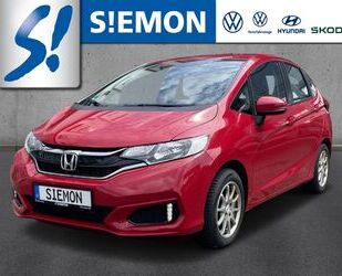 Honda Honda Jazz 1.3 i-VTEC Trend Bluetooth Tempo SHZ Kl Gebrauchtwagen