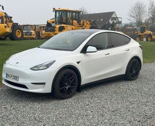 Tesla Tesla Model Y Performance / 8-Fach Bereift Gebrauchtwagen